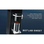 Ditting 807 Lab Sweet Coffee Grinder