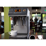 Wilbur Curtis G4 Gold Cup Twin Coffee Brewer