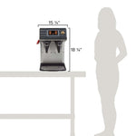 Wilbur Curtis G4 Gold Cup Twin Coffee Brewer